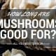 How Long Are Mushrooms Good For? All You Need To Know