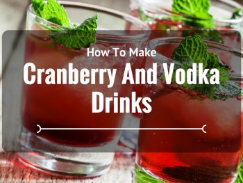 How To Make Cranberry And Vodka Drinks Like A Pro
