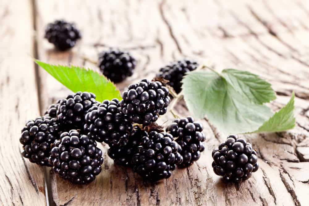 creme de cassis cocktails-blackberries