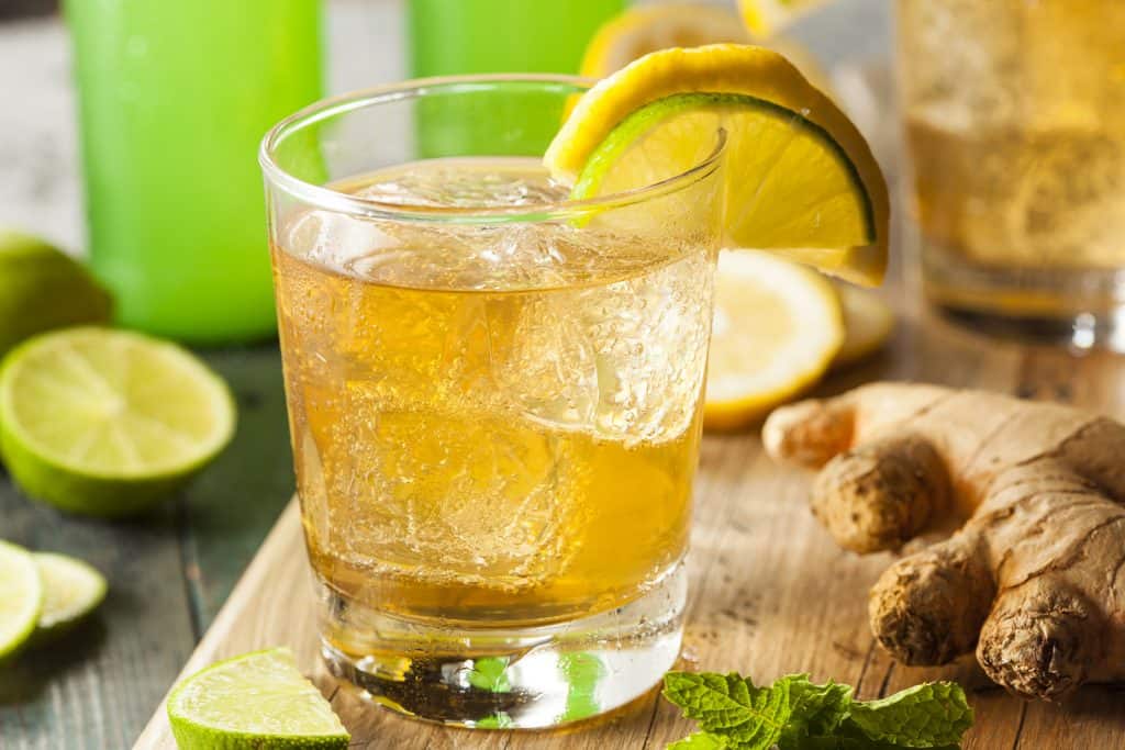 11-perfect-mixed-drinks-with-ginger-ale-that-you-need-to-try