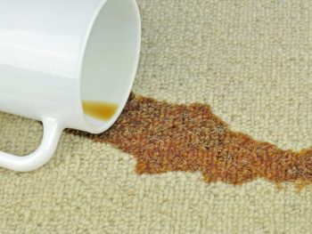 Easy Ways To Remove Coffee Stains