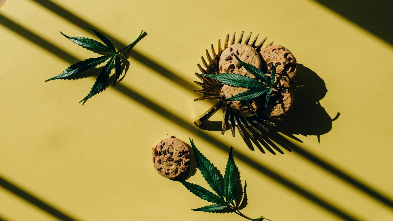 Your GoTo Spot for Quality Cannabis Cookies Dispensary Las Vegas