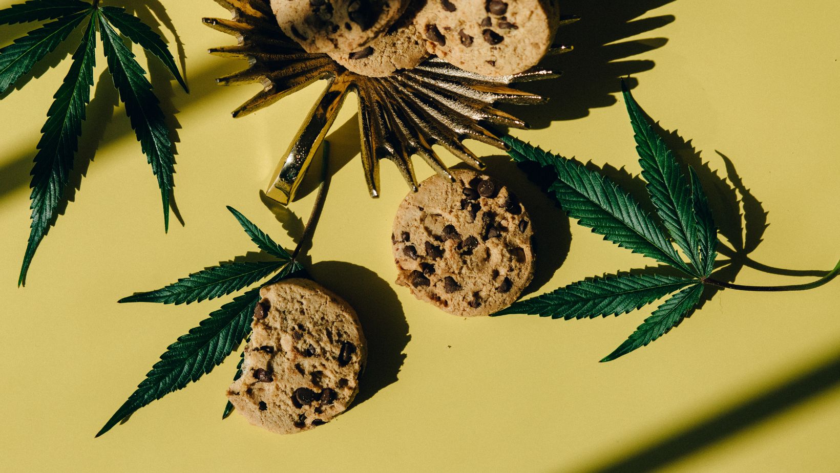 Your GoTo Spot for Quality Cannabis Cookies Dispensary Las Vegas