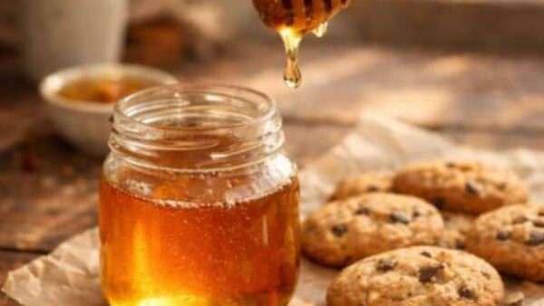 honey bee supplies for sale